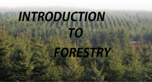 SUBSCRIBE TO FORESTRY COURSE 1