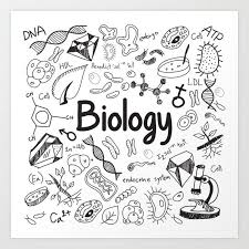 BIO3: SENIOR THREE BIOLOGY 4