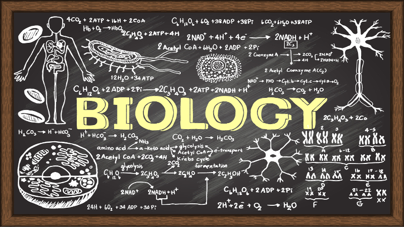 LOWER SECONDARY CURRICULUM (LSC): BIOLOGY SENIOR ONE 4