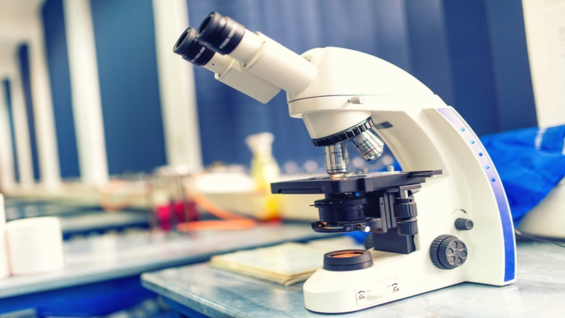 UNEB 2024 possible Biology Paper 1 Exams: Set one-Questions and Answers- 10