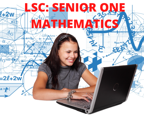 Udemy style 7 senior one mathematics