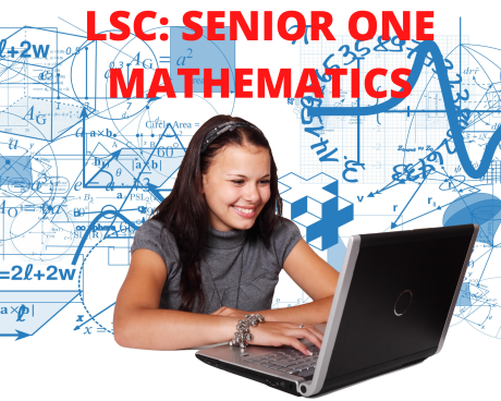 senior one mathematics