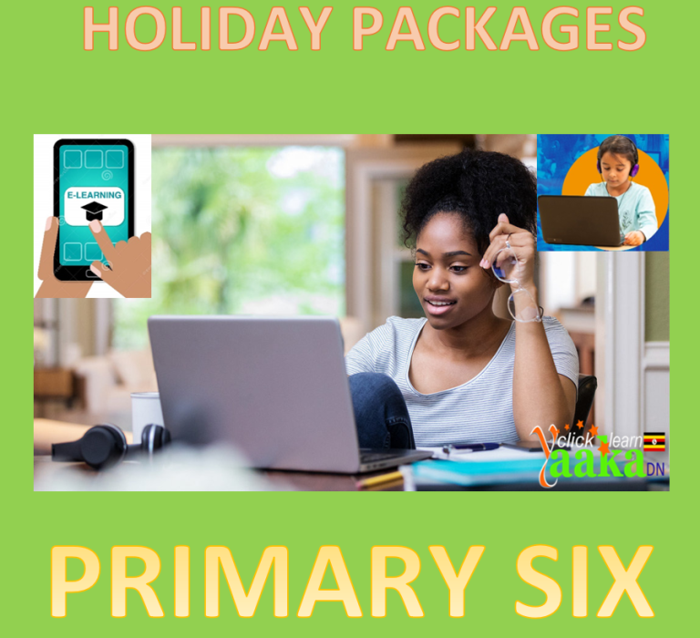 PRIMARY SIX HOLIDAY PACKAGE