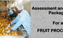 DIT-ASSESSMENT AND TRAINING PACKAGE FOR A FRUIT PROCESSOR