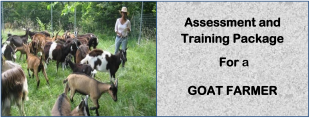 GOAT FARMER-Directorate Of Industrial Training 2 GOAT FARMER-Directorate Of Industrial Training