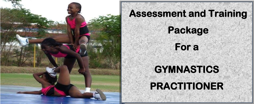 DIT-ASSESSMENT AND TRAINING PACKAGE FOR A GYMNASTICS PRACTITIONER 4