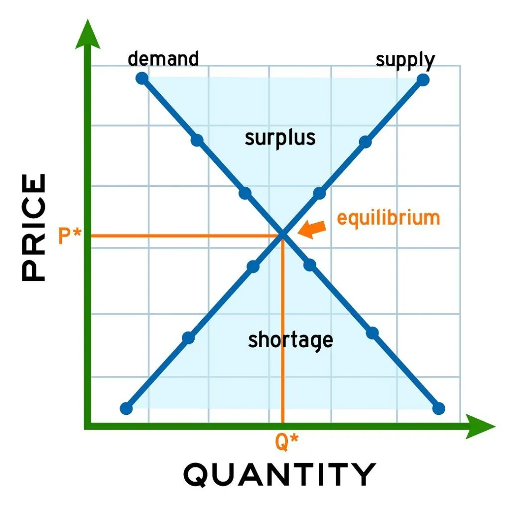 UNDERSTANDING THE DEMAND SUPPLY CURVE 2