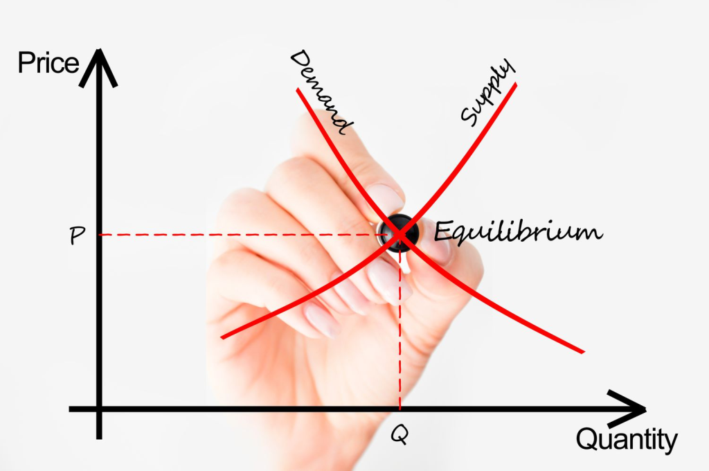 UNDERSTANDING THE DEMAND SUPPLY CURVE 3