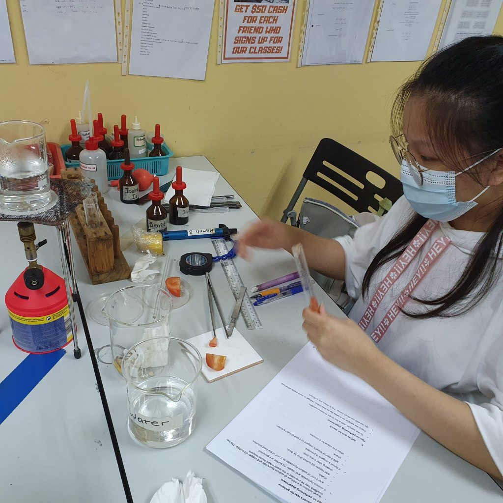 HOW TO PASS BIOLOGY PRACTICALS 2 HOW TO PASS BIOLOGY PRACTICALS