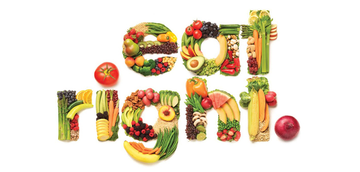 Udemy style 5 Nutrition