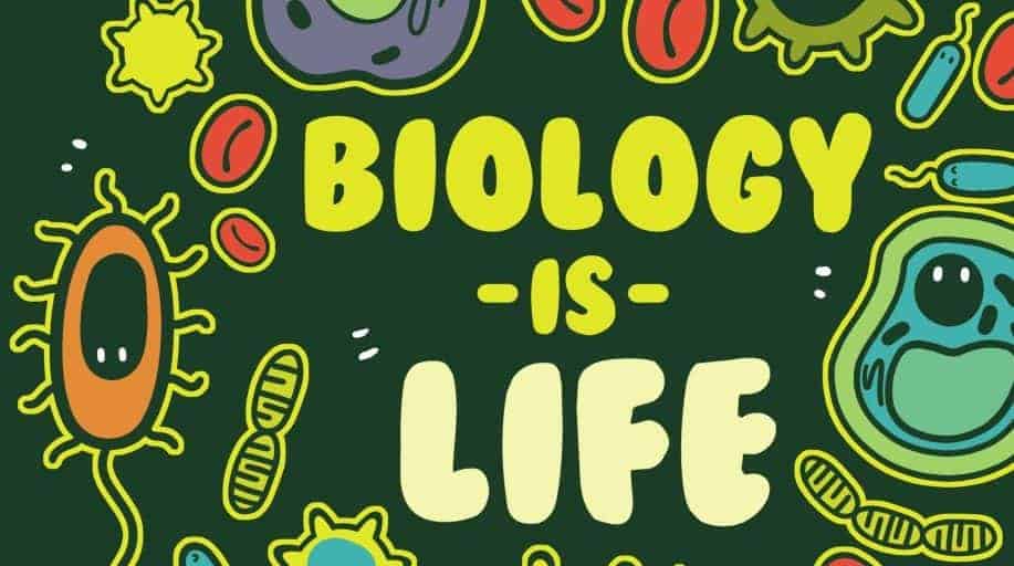 PASSING BIOLOGY FORM 3 EXAMINATIONS MADE EASY 2 PASSING BIOLOGY FORM 3 EXAMINATIONS MADE EASY