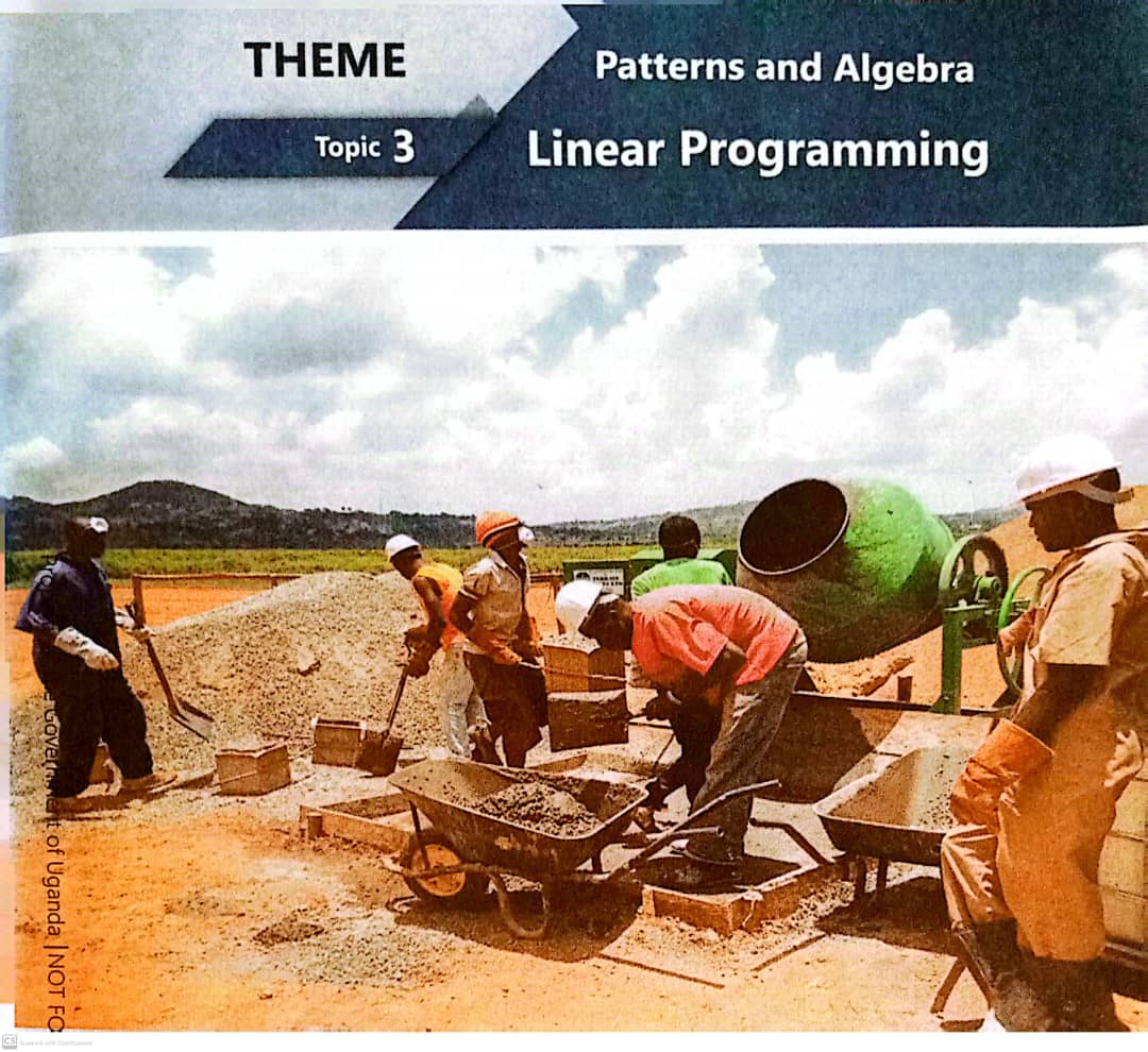 Topic 3 Linear Programming 1