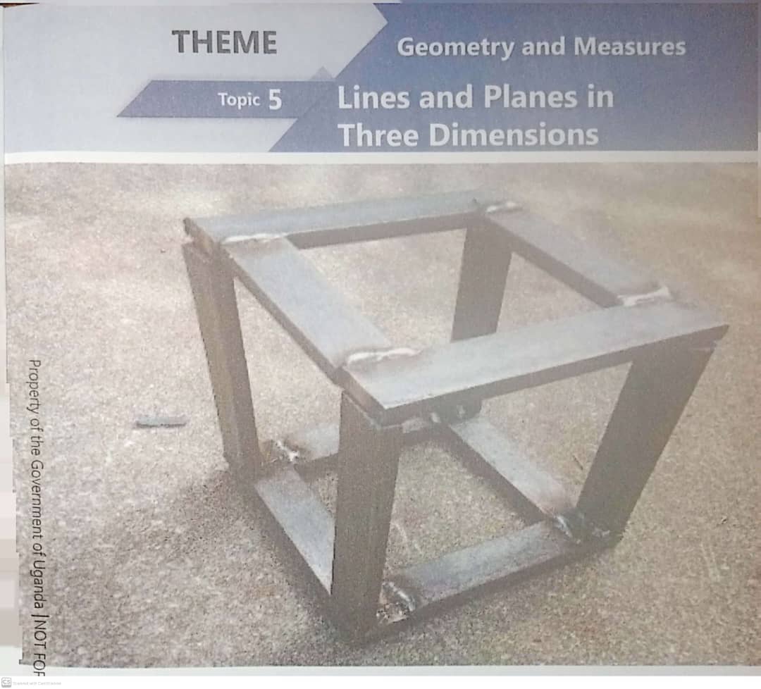 Topic 5 Lines and Planes in Three Dimensions 1