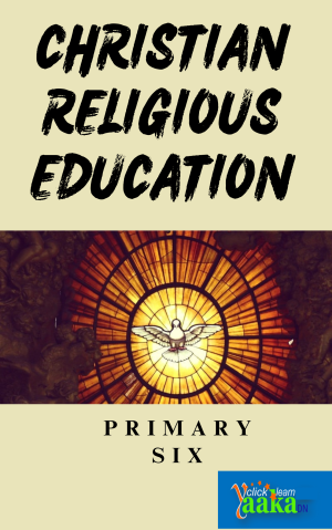 DOWNLOAD ALL LESSONS OF CHRISTIAN RELIGIOUS EDUCATION PRIMARY SIX 1