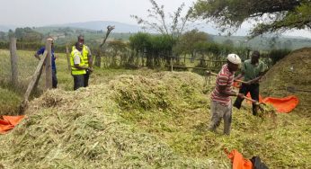 PASTURE MANAGEMENT OR CONSERVATION
