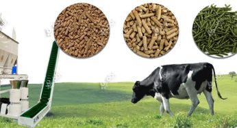 LIVESTOCK FEED MAKING