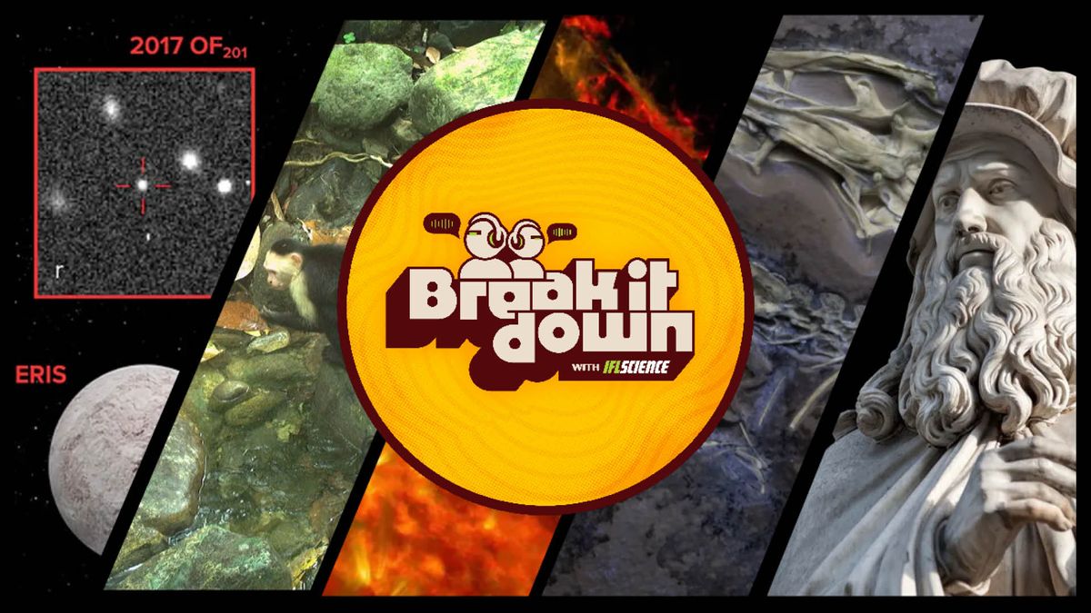 Capuchin Kidnappers, Spinosaurus Daddy, And A New Member Of The Solar System 6