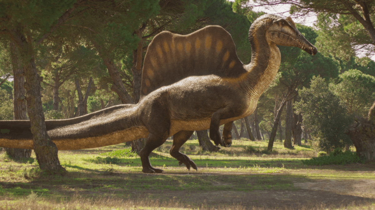 The Longest Predatory Dinosaur Known To Science Was Probably A Great Dad, Too 10 The Longest Predatory Dinosaur Known To Science Was Probably A Great Dad, Too 9