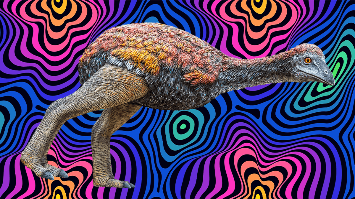 Myth, Mess, and Mitochondria: How The Biggest Bird To Ever Exist Evolved And Died In Madagascar 6