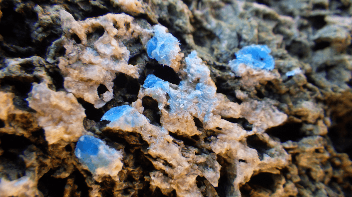 Plastic Rocks Are A "New And Terrifying" Phenomenon Coming To A Shore Near You 7