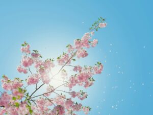 Soak In The Summer Sun Safely With These 4 Simple Strategies For Outdoor Comfort 8 Soak In The Summer Sun Safely With These 4 Simple Strategies For Outdoor Comfort 7