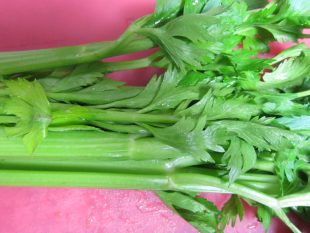 Celery Ice Cream with Rum-Plumped Raisins and Peanut Butter Swirl 5