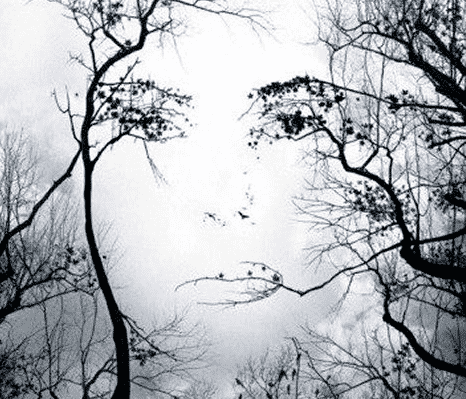 AJAX : What’s All The Commotion? 7