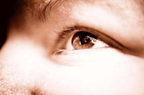 Bush’s Legacy Condensed to One Sentence 2