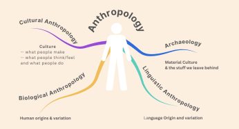 The Art of Balanced Critique: Examining the Nuances of Book Reviews
