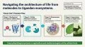 ADVANCED LEVEL BIOLOGY, NEW CURRICULUM, SENIOR FIVE 7