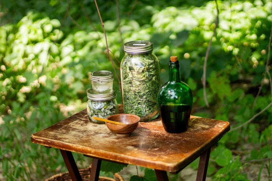 Wildcrafting: A Beginner's Guide to Ethical Foraging and Herbal Remedies 3 Wildcrafting: A Beginner's Guide to Ethical Foraging and Herbal Remedies
