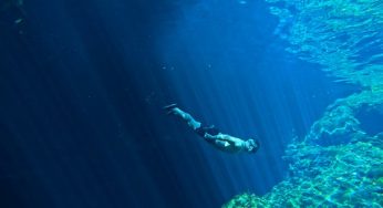 Why The World Is Actually Perfect: A Deep Dive with Daniel Scranton
