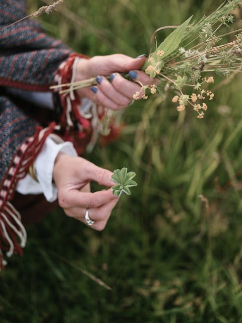 Wildcrafting: A Beginner's Guide to Ethical Foraging and the Power of Plant Medicine