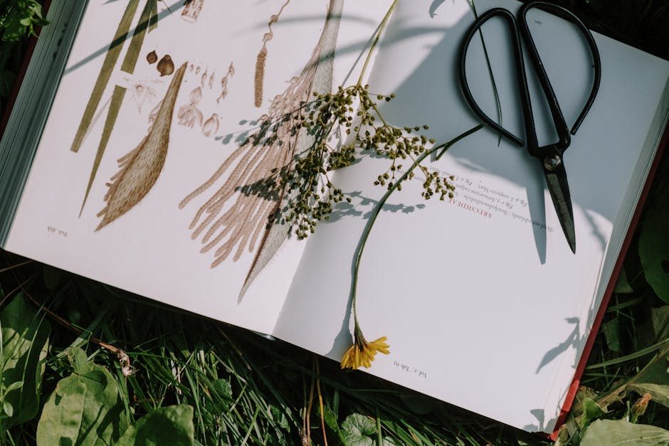 Wildcrafting: A Beginner's Guide to Ethical Foraging and the Power of Plant Medicine