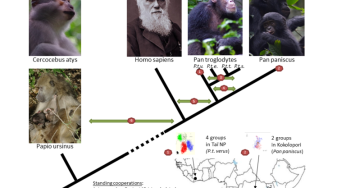 Sapiens Book Review: Summary, Lessons & Why It Matters
