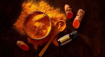 Turmeric: The Golden Herb That Heals From the Inside Out